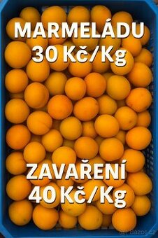 Meruňky