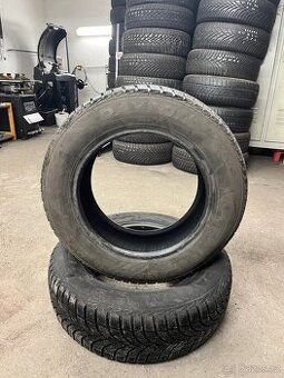 Zimní pneu 195/65 R15 91H Dayton