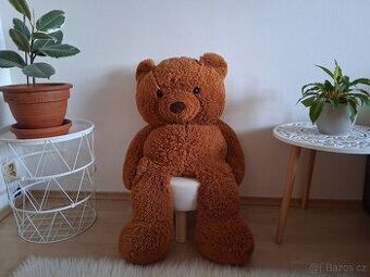 Velký plyšový medvěd