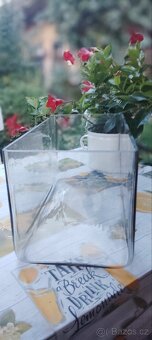 Celoskleněné terárium akvárium