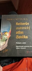 Netter atlas anatomie