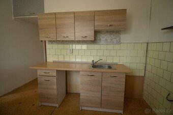 Byt 2+1, 53 m² se zahradou – Dolní Poustevna,
