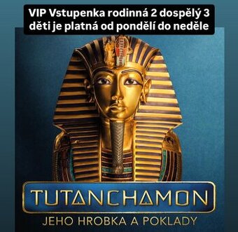 VIP Vstupenka rodinná 2 dospělý 3 děti je platná od pondělí