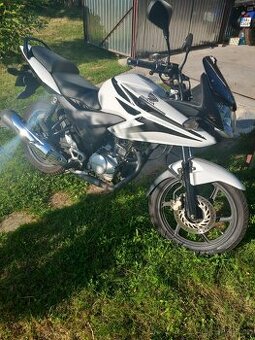 Honda cbf 125