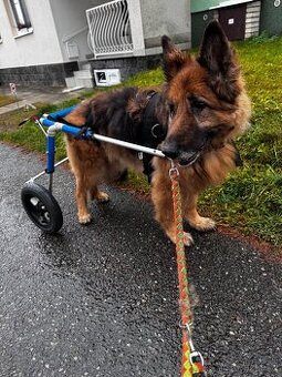 Monty invalidní vozíček pro psy XL