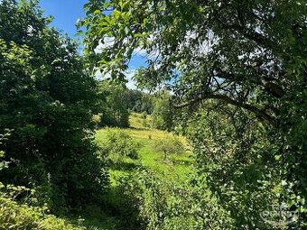 Prodej pozemkku o velikosti 7.273 m2 v obci Třeboc, Rakovník