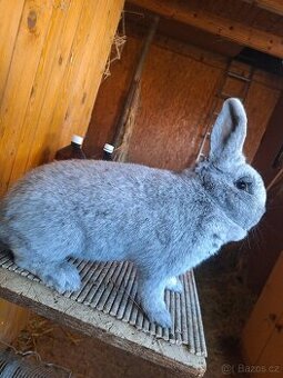 Velky svetly stribrity