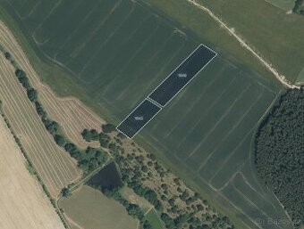 Zemědělská půda, prodej, Horušany, Soběkury, Plzeň jih