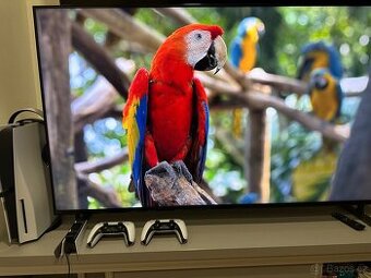 Televize a psn 5