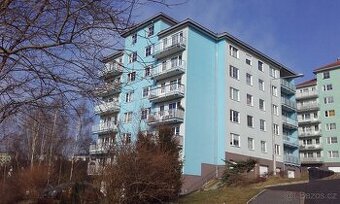 Pronájem zařízeného bytu 1+kk - 1