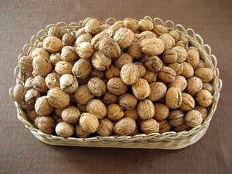Vlašské ořechy letošní - 3kg