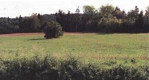 Orná půda 18.296 m2, kat. území Sedlec u Kutné Hory, obec Ku