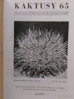 Kaktusy kompletní ročníky 1965 - 1974.