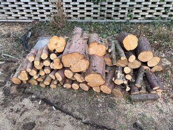 Dřevo – túje, vhodné na venkovní topení / oheň