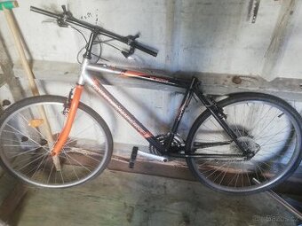 Cross kolo