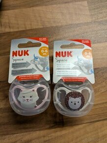 Dudlik