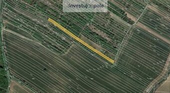 Prodej pole v k.ú. Klobouky u Brna - 1