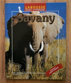 SAVANY