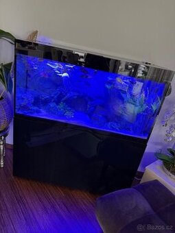 Luxusní vybavené akvárium + ryby