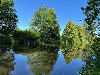 Prodej louky u řeky Metuje 3 641 m², ideální pro rybáře