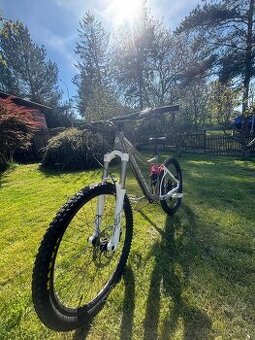Mondraker dune R