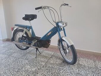 Babeta 207