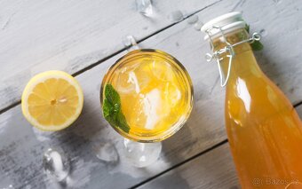 KOMBUCHA - 1