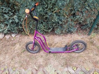 Capypso Galaxy 12''