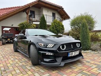 Fond Mustang 5.0 Performance 2016