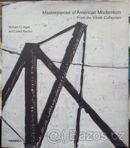kniha fotografií. "Masterpieces of American Modernism"