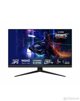 2x Monitor