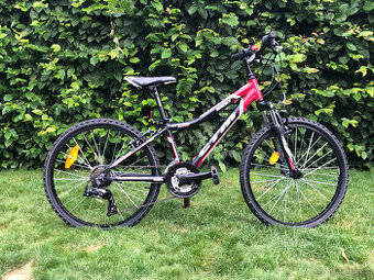 Kolo CTM Rocky 24"