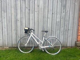kolo Specialized Source Comp - 1