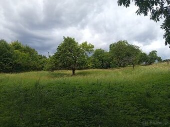 Prodám zahradu včetně malé chatky