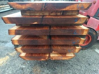 Jilm horský ,,stolové desky,,