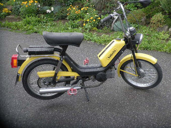 babeta 210