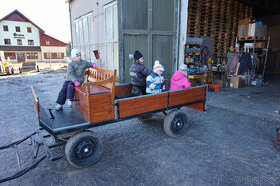 SÁNĚ A VŮZ ZA KONĚ - prodám
