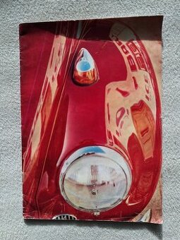 Volkswagen  Brouk 1965