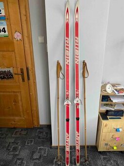 Běžky Artis Rubín 690 ( 190 cm )