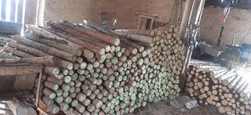 Dřevěné kůly - 1