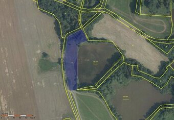 Františkovy Lázně - pronájem louky 7611 m2 - 1