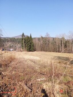 Prodej, pozemky/bydlení, 22894 m2, 40502 Janská, Děčín [ID 6
