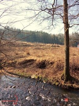 Prodej, pozemky/bydlení, 22894 m2, 40502 Janská, Děčín [ID 6