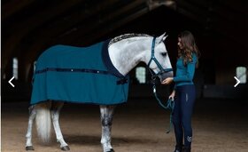 Equestrian stockholm