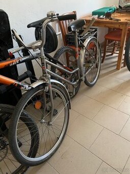 Velamos lady 26