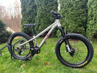 Early Rider Hellion 20 "