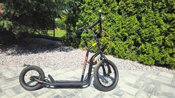 Kolobezka Arcore Shorty