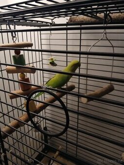 Alexandr maly i s kleci