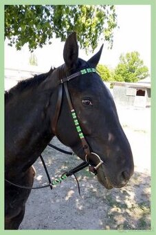 Westernová uzdečka včetně otěží, vel. cob