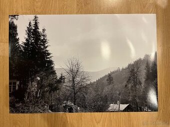 Fotografie černobílé